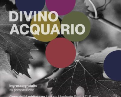 Divino Acquario. Storie di Architettura e Vino