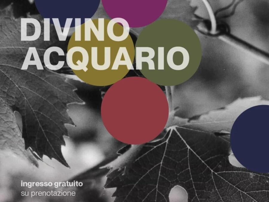 Divino Acquario. Storie di Architettura e Vino